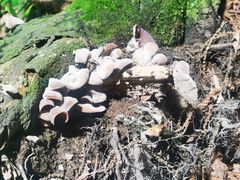 -藏龙百瀑风景区