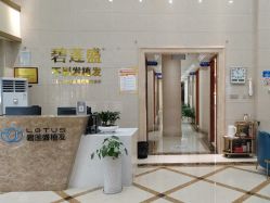 -碧莲盛·不剃发植发