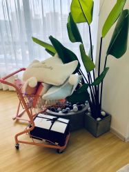 -E.L.K造型momopark店