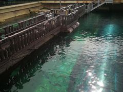 -悉尼海洋生物水族馆