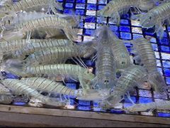 -上座·餐厅(阳光100店)