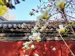-雍和宫(地铁站)