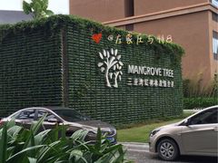 -三亚湾红树林度假世界(木棉酒店)