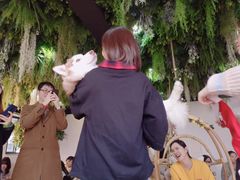 -Husky Go! 哈士奇体验馆·宠物咖啡厅狗咖