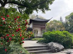 -柳侯公园