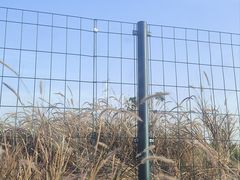 -横沥牛庄(总店)