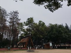 -月湖风景区