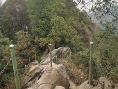 -南山植物园