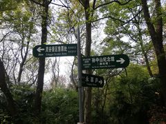 -紫金山山顶公园