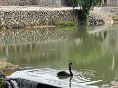 -云水谣景区
