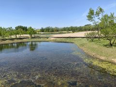 -东郊湿地公园