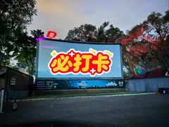 -枫花园汽车电影院(朝阳公园店)