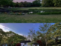 -上海共青森林公园