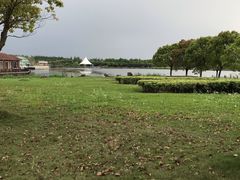 -上海都市菜园