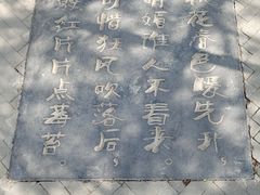 -桃花堤公园