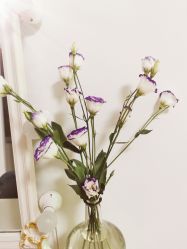 -美肤盾祛痘·问题肌头疗管理中心