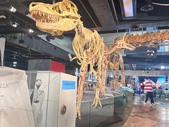 -墨尔本博物馆(Melbourne Museum)