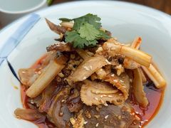 -成都映象川菜馆(宽窄巷子景区店)