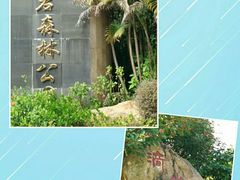 -滴水岩森林公园