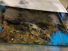 -川骄海鲜自助(亚运村店)
