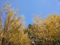 -柳侯公园