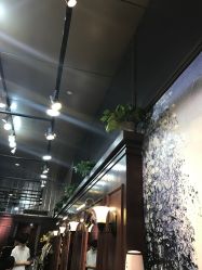 -Amber Salon艾珀沙龙