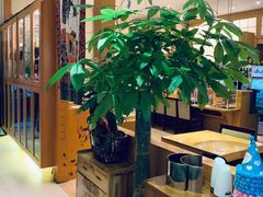 -丽和苑·自助寿喜锅(虹梅路店)