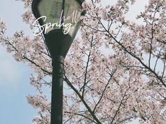 -上海山野camping·户外天幕烧烤·团建拓展营地