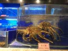 -金时代顺风大酒店(临港百联店)