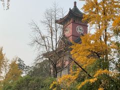 -四川大学(华西校区)