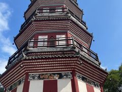 -顺峰山公园