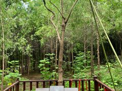 -青州市云门山风景区