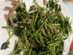 韭菜炒八带-小铜锣湾海鲜家常菜馆(河西店)
