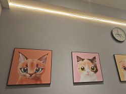 -洗脸猫·洗脸吧