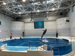-鹿儿岛水族馆