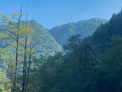 -刘伯温故里景区百丈漈