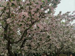 -元大都城垣遗址公园