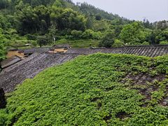 -杨家堂村