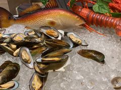 -常州富力喜来登酒店 Feast盛宴标帜西餐厅(新北万达广场店)