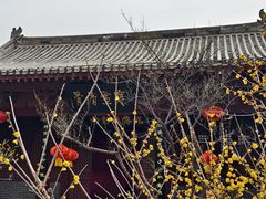 -开封府