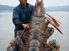 -五合院·整点烤肉