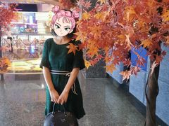 -飞扬影城(正佳IMAX店)