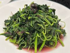 -席家花园(巨鹿花园店)