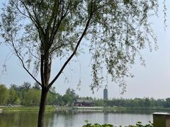 -西海子公园
