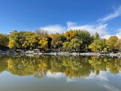 -西宁市人民公园(城西区)