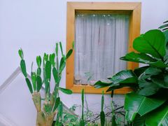 -拾壹cafe·工作室