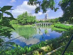 -四海公园(南山区)