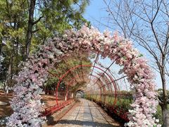 -凤凰沟景区