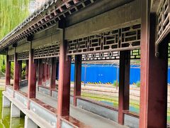 -团结湖公园