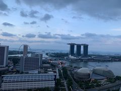 -新加坡瑞士史丹福酒店